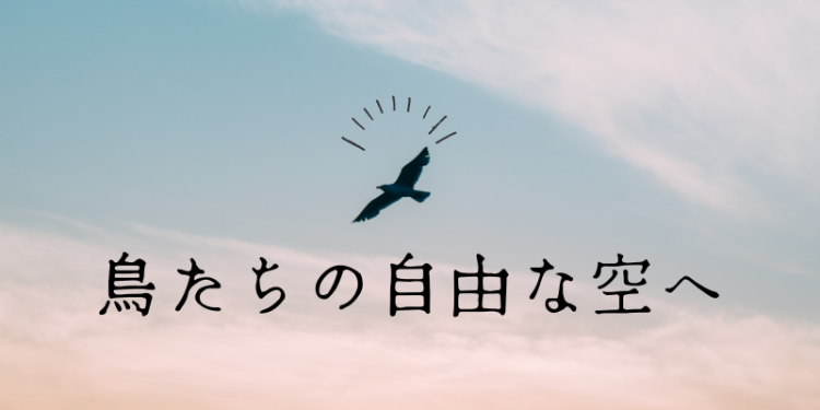 鳥たちの自由な空へ